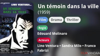Un Témoin dans la ville (1959) VF