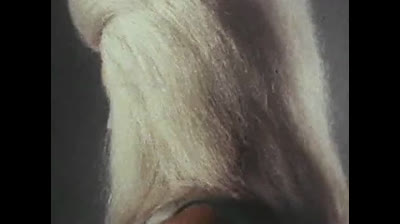 Megaloman 06 Ordine operazione invasione