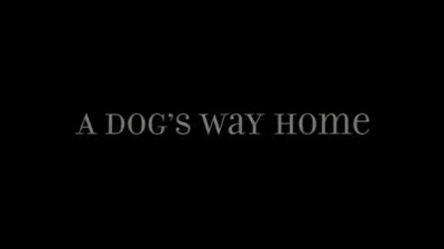 L'incroyable aventure de Bella_2019