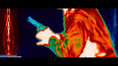 Alien vs. Predador 2-dublado-2007-1080p