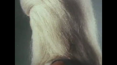 Megaloman 07 Combattete guerrieri d amore