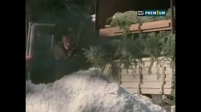 Il commissario Rex 03x10