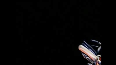 2x23 Biker Mice da Marte - Lo scienziato più pazzo dell'universo