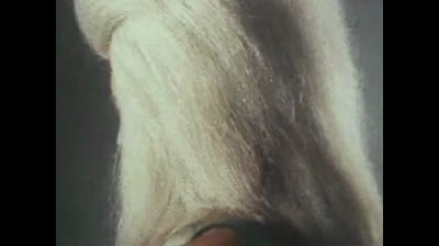 Megaloman 11 Disputa per il comando