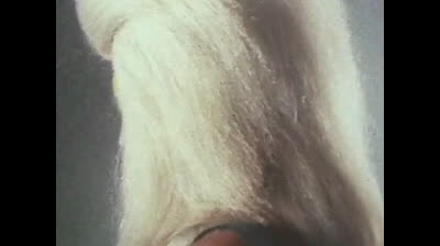 Megaloman 12 La grande sfida