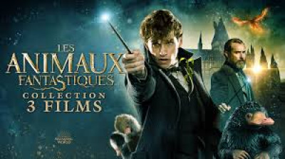 Les Animaux Fantastiques - Les Secrets de Dumbledore (2022)