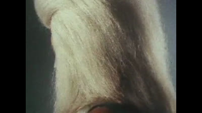 Megaloman 13 La battaglia dei mostri