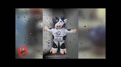 Pelea dededede botargas ????