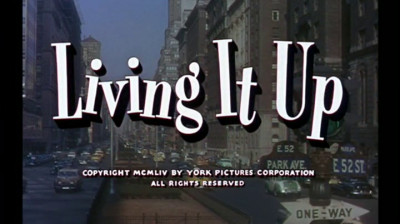 C'est pas une vie Jerry_1954